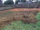 Garden20 (sml).JPG