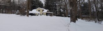 Backyard 02192021.jpg