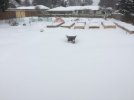 Snow05 (sml).JPG