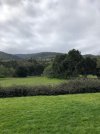 Filoli 1 03132021.jpeg
