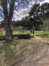 Filoli 10 03132021.jpeg