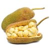 Jackfruit-2-450w_450x.jpg