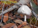 Web 1547.JPG Web 1547.JPG