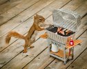 9-things-the-squirrels-are-up-to-these-days-2.jpg