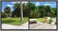 back yard 1.JPG