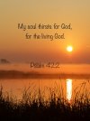 Bible-save-d4c854ee-19439228.jpg