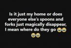 FB_IMG_1647285300321.jpg