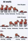 1648238068541.png