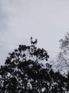 IMG_20220316_170826396.jpg