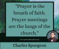 FB_IMG_1649425740636.jpg