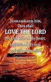 FB_IMG_1650067806998.jpg