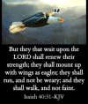 FB_IMG_1640257112729.jpg