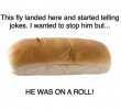 FB_IMG_1651008764918.jpg