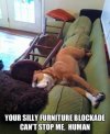 FB_IMG_1651006674371.jpg