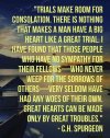 FB_IMG_1651339788549.jpg