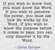 FB_IMG_1651339758904.jpg