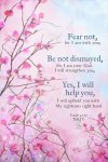 FB_IMG_1651340122767.jpg