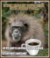 FB_IMG_1651535787054.jpg