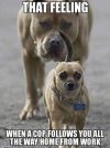 FB_IMG_1651340454716.jpg