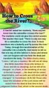 FB_IMG_1653164217688.jpg