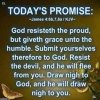 FB_IMG_1653686265796.jpg