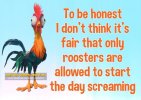 FB_IMG_1651005865603.jpg