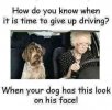 FB_IMG_1648104766774.jpg