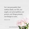FB_IMG_1653685453928.jpg