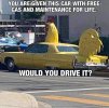 FB_IMG_1659373312829.jpg