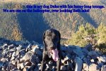 IMG_20181016_082234734.jpg