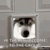 1669652483975.gif