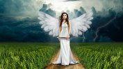 angel.jpeg
