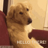1670649546238.gif
