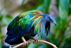 image_1075.png