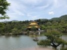 Nara Park Osaka 1.jpg