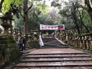 Kyoto 2.jpg