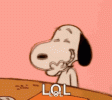 1684518404284.gif