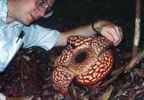 botany1_sm.jpg