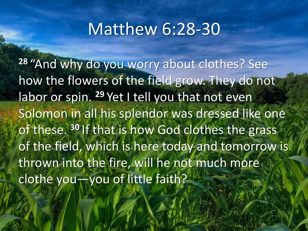 Matthew+6:28-30.jpg