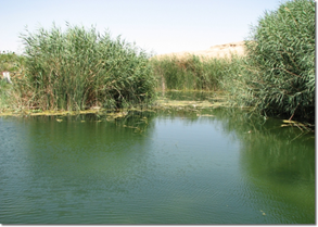 image064.png