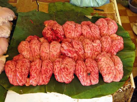 brains.jpg