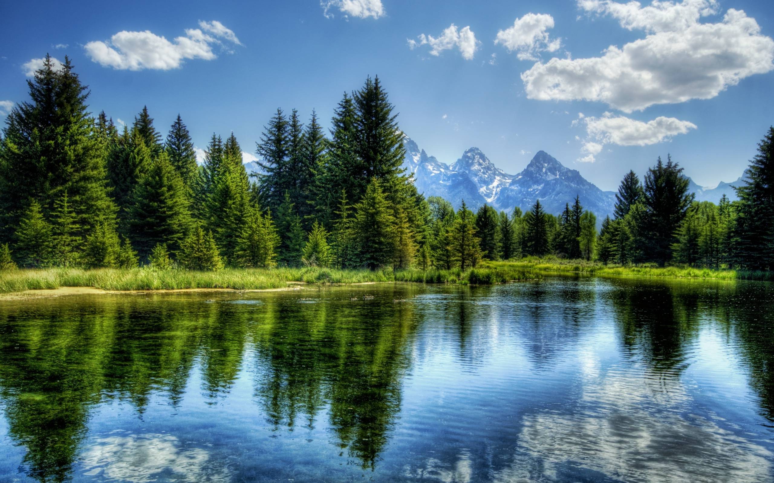 74165-nature-HDR-river-trees-mountain-landscape.jpg