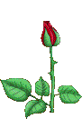 image002.gif
