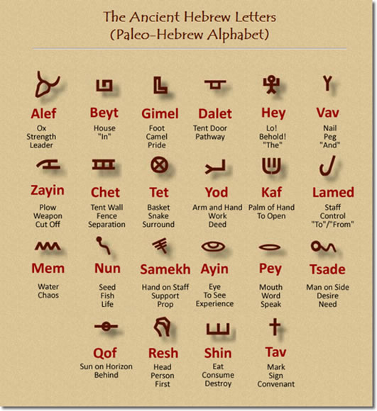 paleoChart.jpg