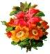 Bulletflowers.jpg