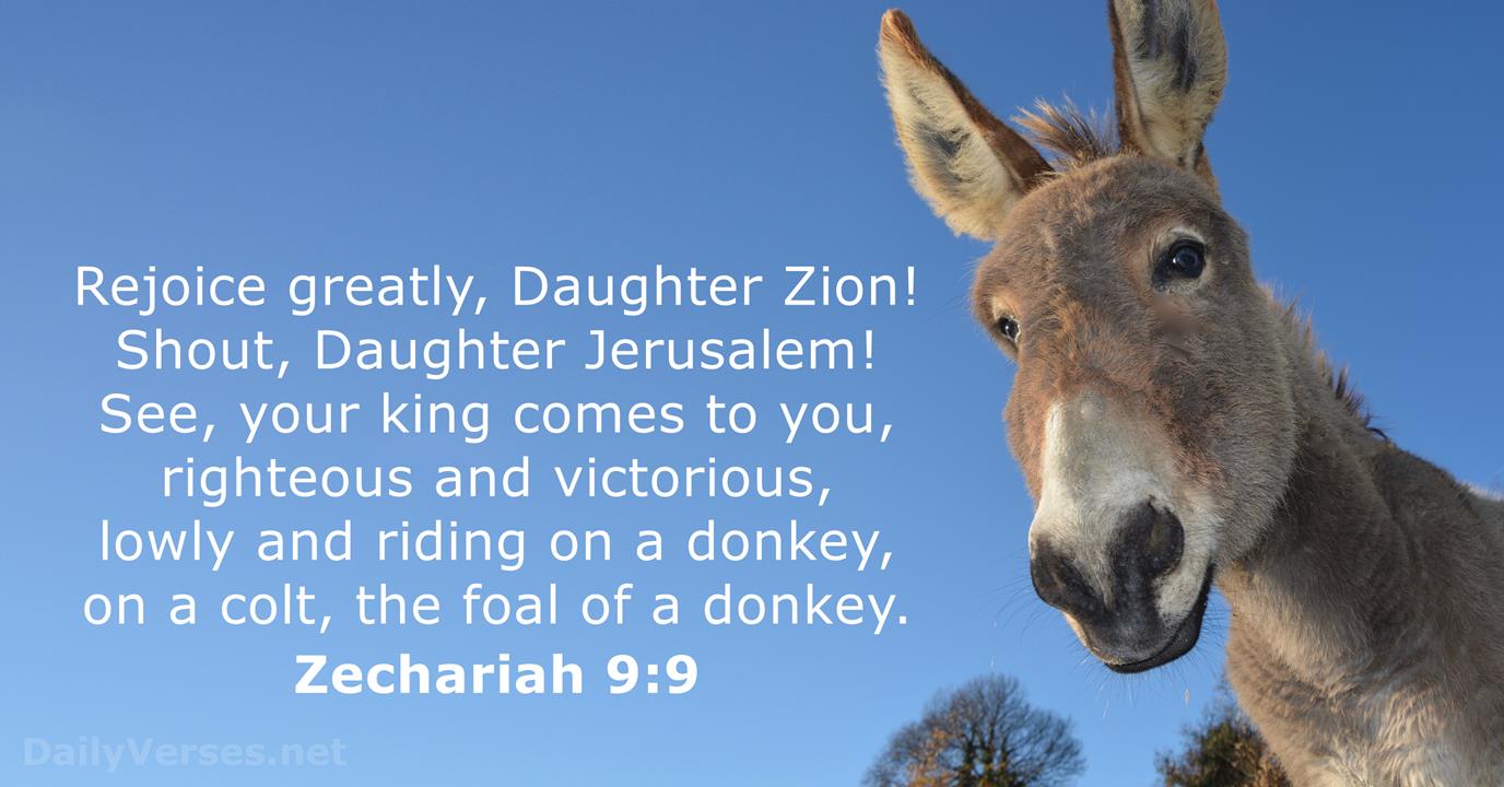 zechariah-9-9.jpg