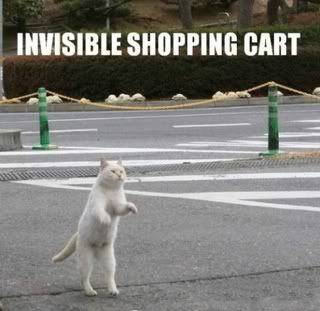 lolcatsdotcomnmc3vgojz5gg5vxt.jpg