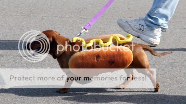 Hot20Dog.jpg