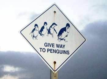 road_signs_16.jpg