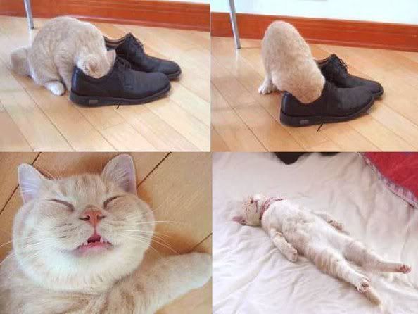 yourfeetsmell-1.jpg